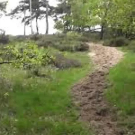 Campsite Wighenerhorst Wijchen