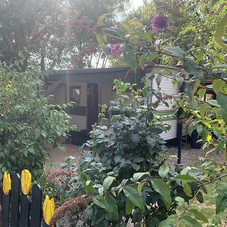 Wighenerhorst אתר קמפינג